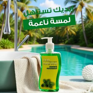 Erase Hand Soap 500ml صابون اليدين برائحة النعناع الطبيعي